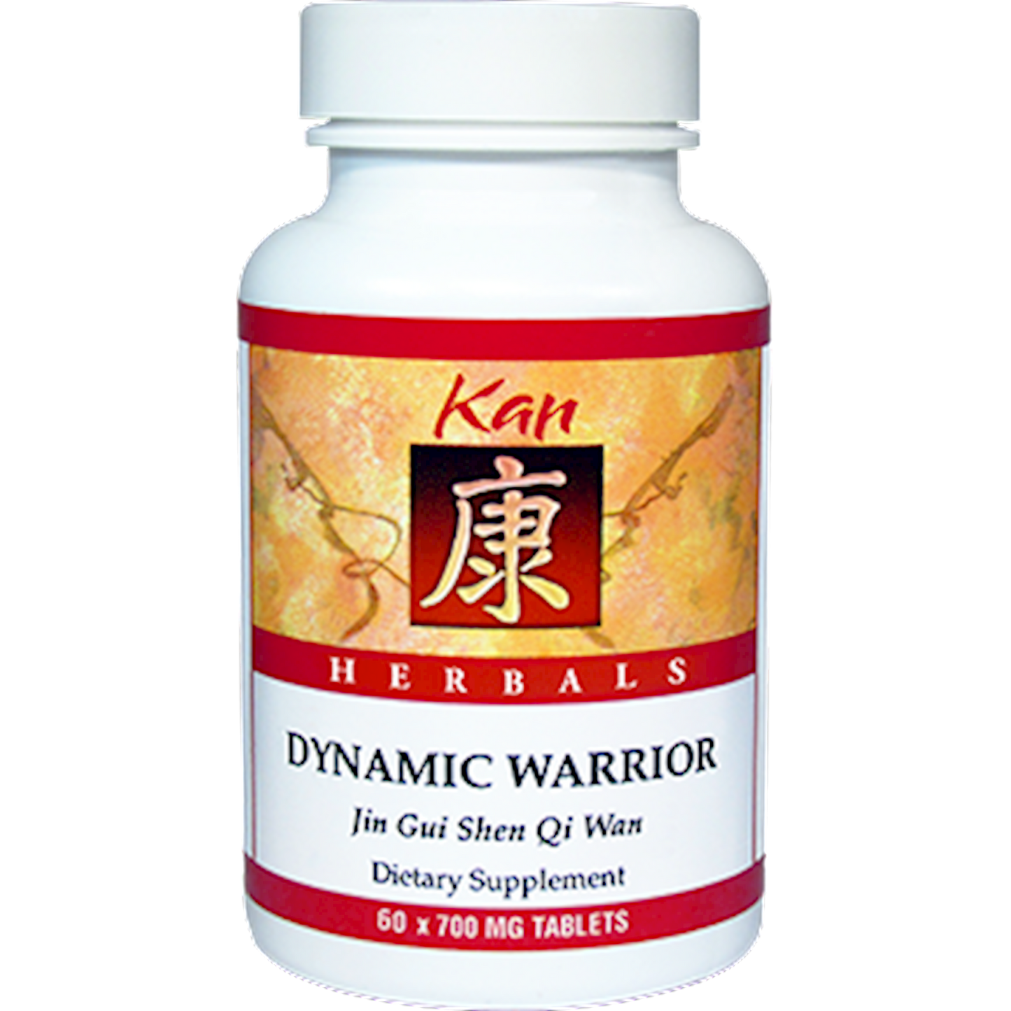 Dynamic Warrior