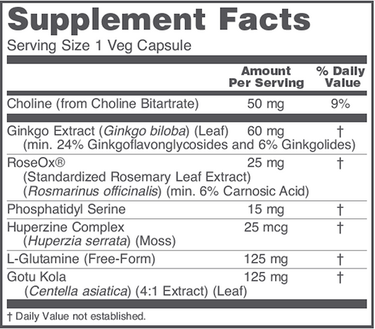 Brain Regain
