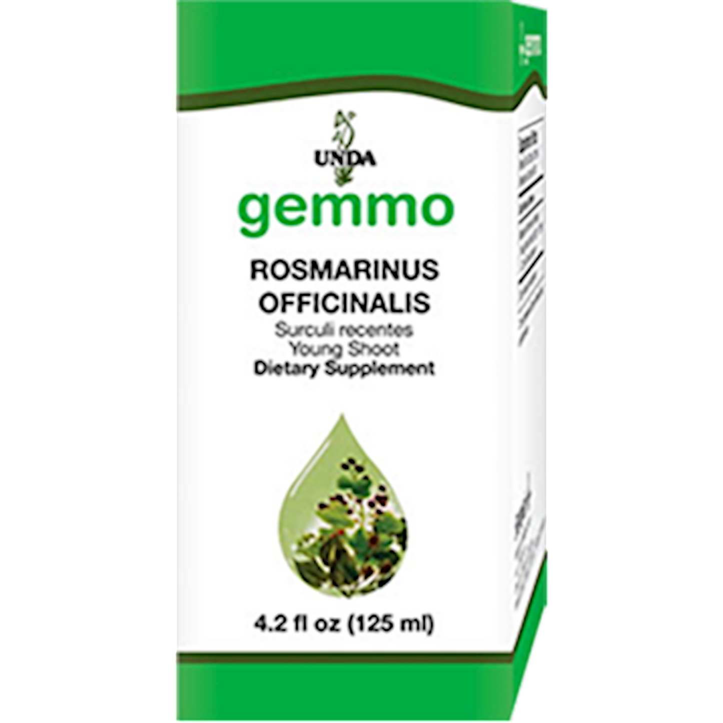 Rosmarinus Officinalis