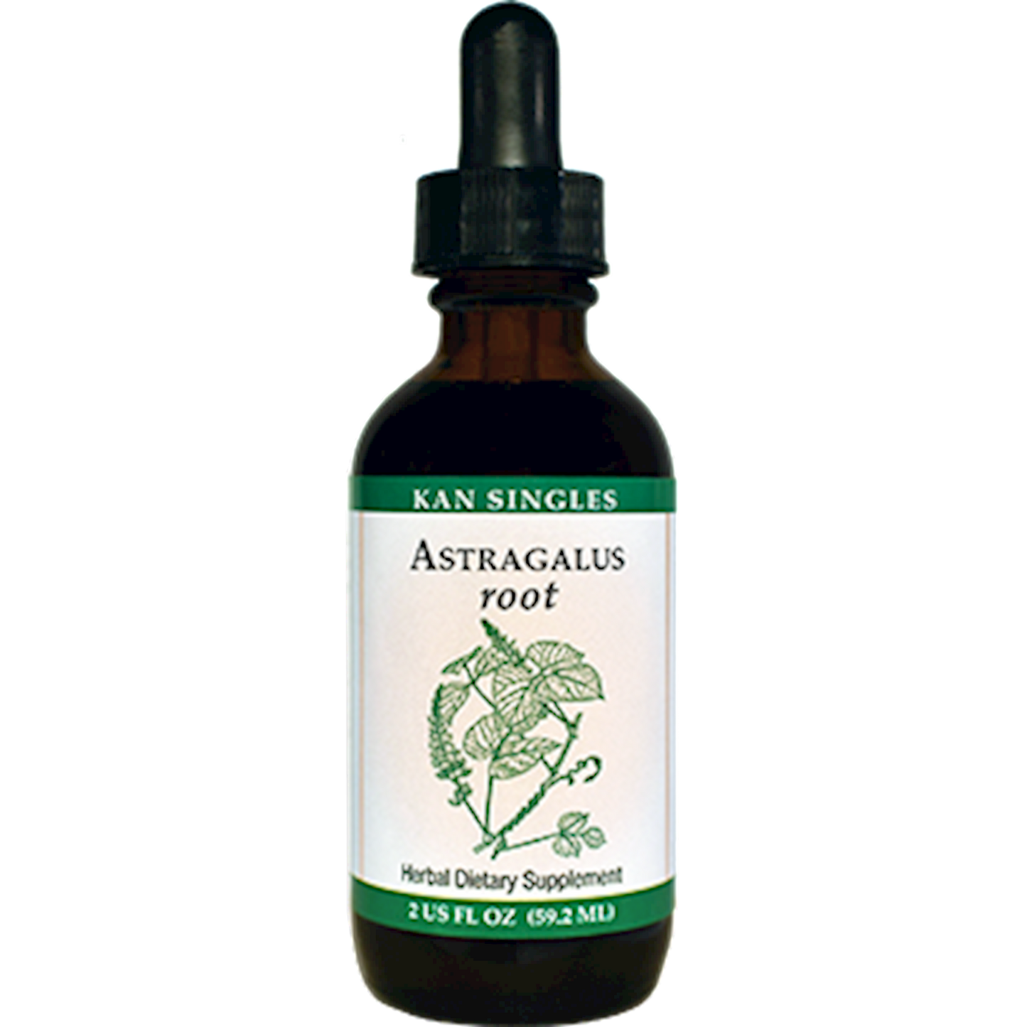 Astragalus root