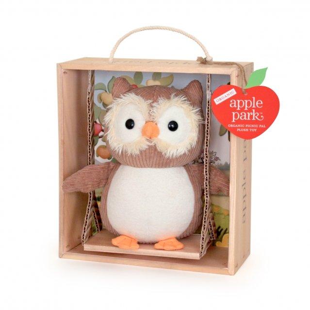 Owl in a Swinging Crate