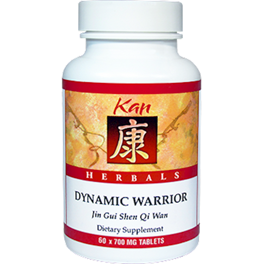 Dynamic Warrior