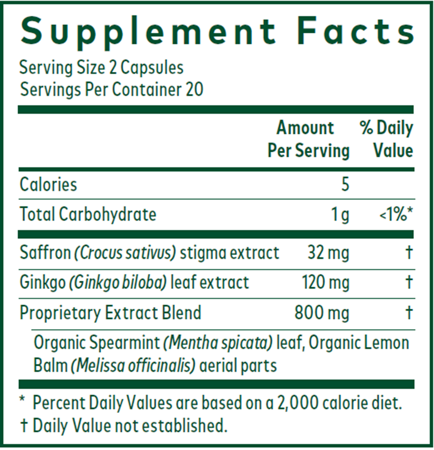 Nootropic Focus