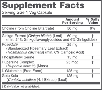 Brain Regain