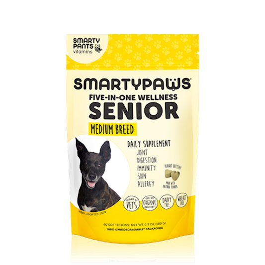 Senior Medium Breed