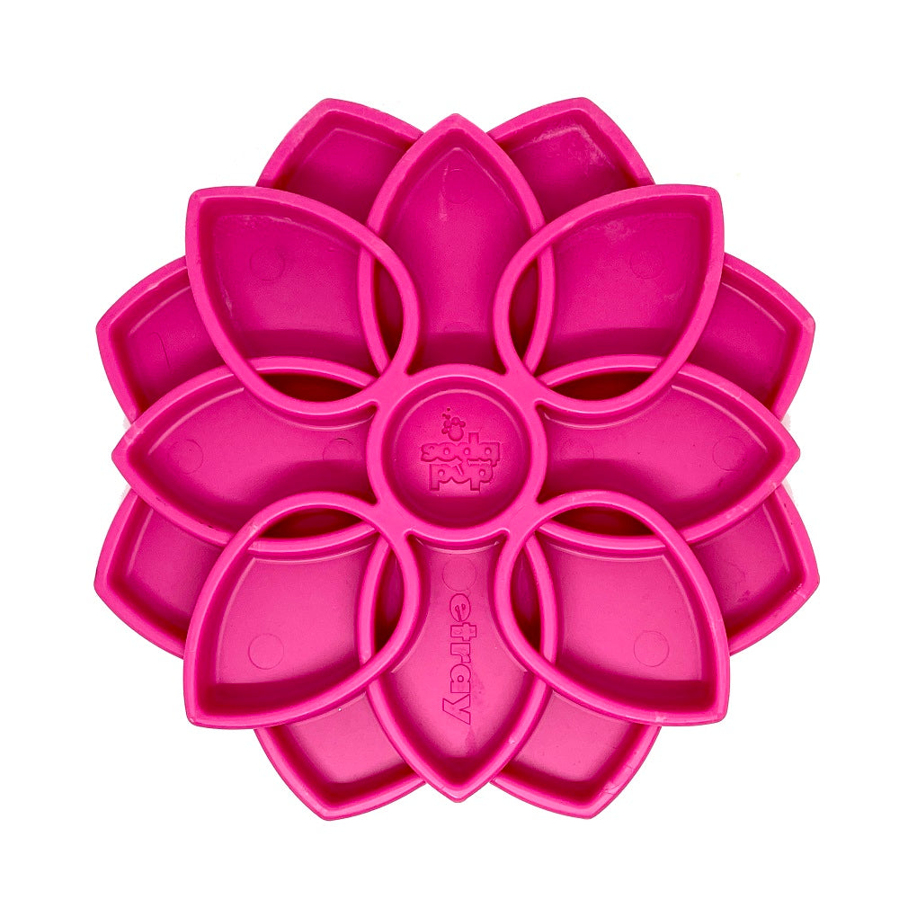 SodaPup – eTray Feeder Mandala