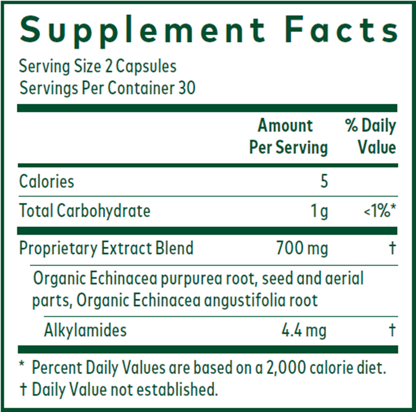 Echinacea
