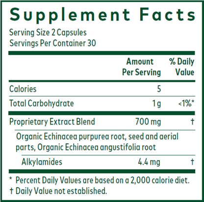 Echinacea