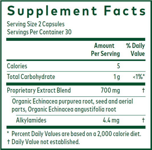Echinacea