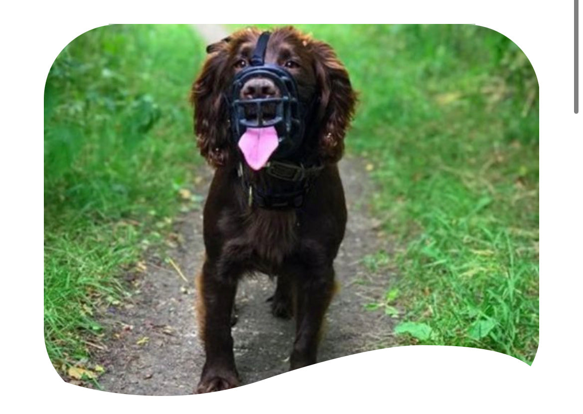 Baskerville Muzzle