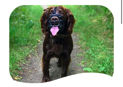 Baskerville Muzzle